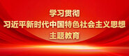 95熟女操逼学习贯彻习近平新时代中国特色社会主义思想主题教育_fororder_ad-371X160(2)